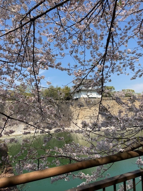 23.3.31.6.jpg