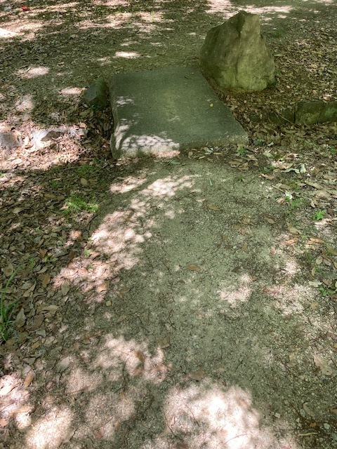 24.5.25.3.jpg