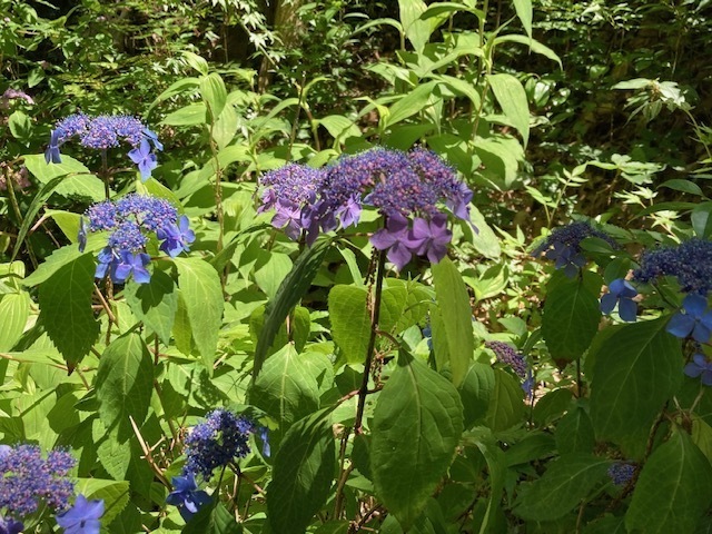 24.5.25.4.jpg