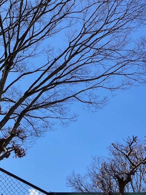25.2.19.3.jpg