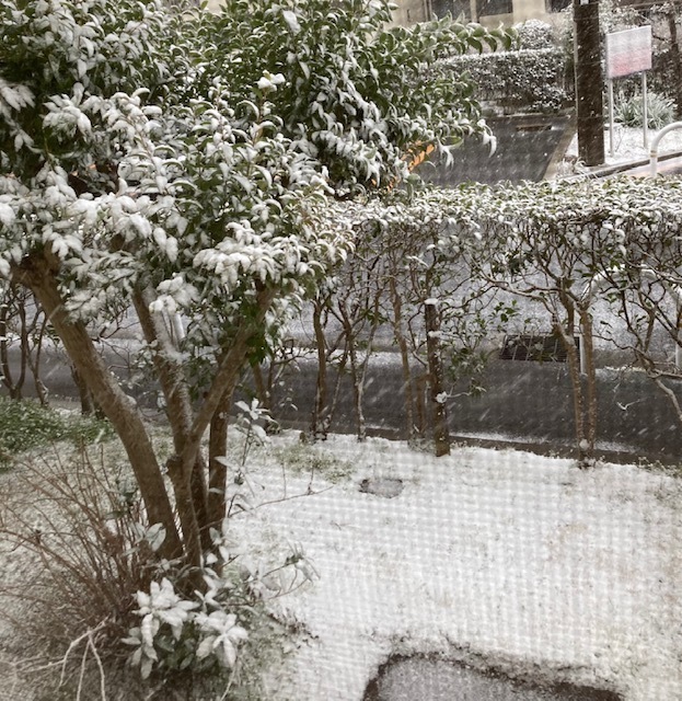 25.2.19.5.jpg