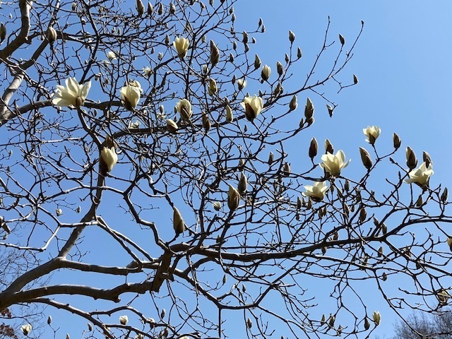 25.3.23.2.jpg