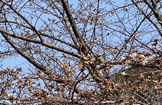 25.3.26.2.jpg